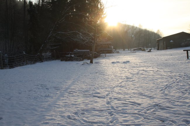 Winter 13.01.09 025.jpg